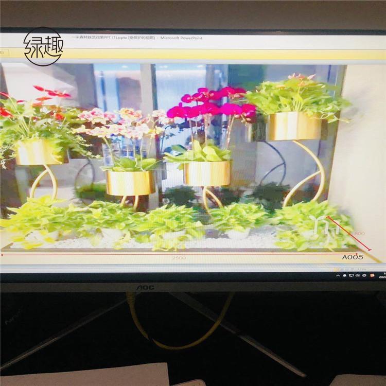 银行花卉租赁基地 盆栽租赁电话