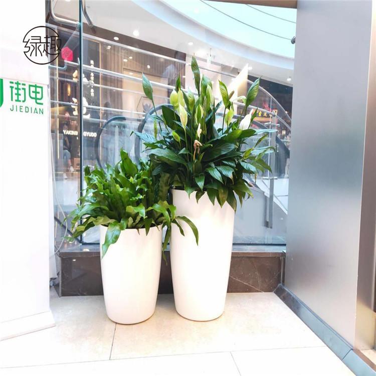 北郊花卉租赁公司 艺术盆景租摆基地