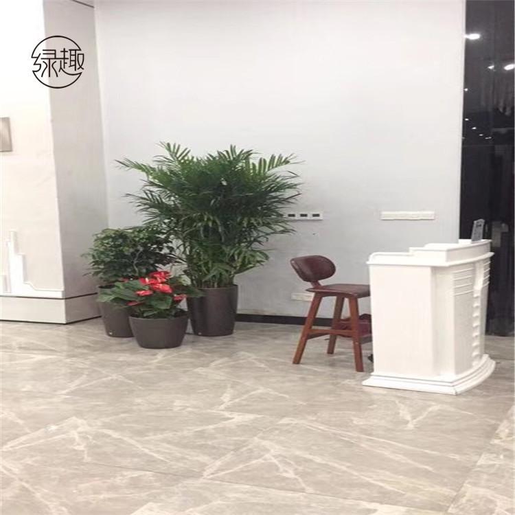 北郊花卉租赁基地 鲜花租摆电话