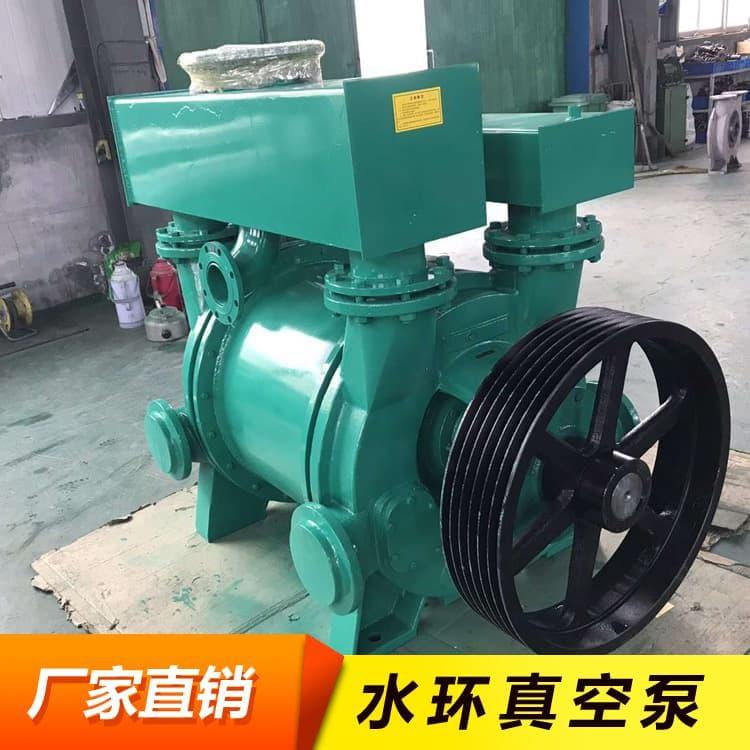 水环真空泵 高温防爆直联水环式真空泵 直联水环式真空泵经久耐用