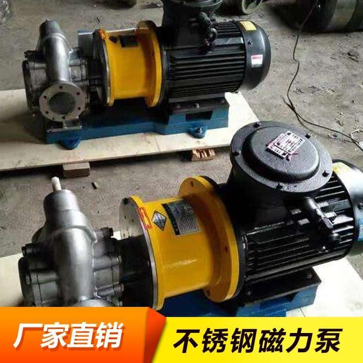 不锈钢磁力泵 变频防爆无泄漏磁力驱动泵 磁力驱动泵厂家直销现货供应