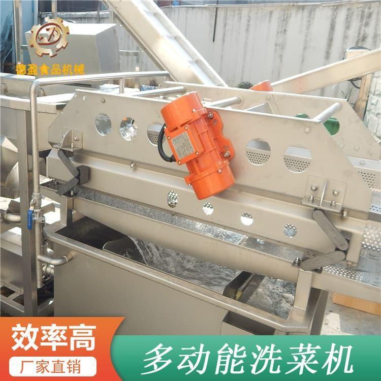 洗菜机 多用途304不锈钢洗菜机 304不锈钢洗菜机生产厂家定制