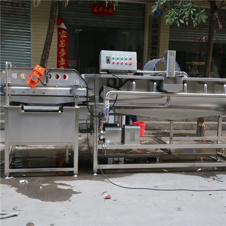 自动洗菜机 大功率气泡式洗菜机 气泡式洗菜机工厂直销