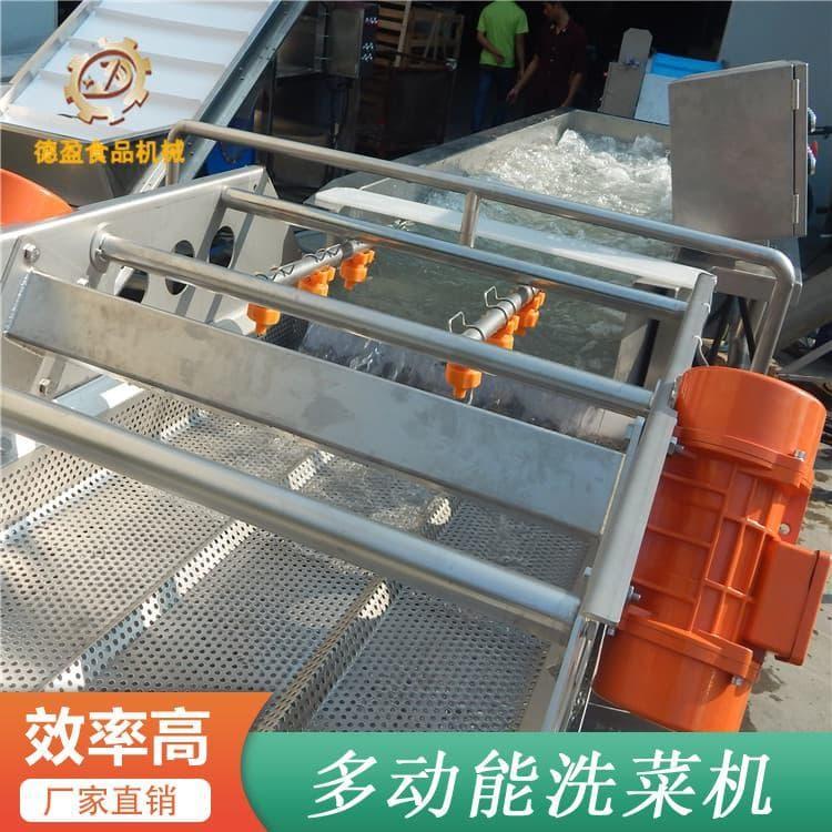 洗菜机 高性能叶类菜清洗机 叶类菜清洗机厂家直销