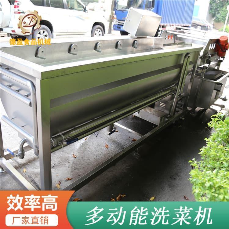 洗菜机 环保多功能气泡鼓浪洗菜设备 多功能气泡鼓浪洗菜设备生产厂家定制