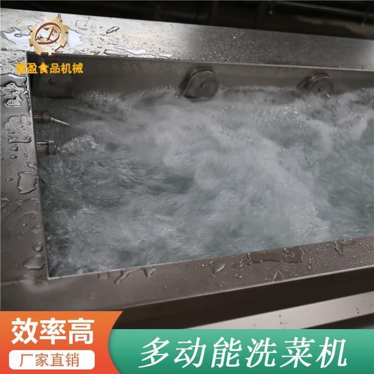 洗菜机 供应叶类菜清洗机 叶类菜清洗机生产厂家