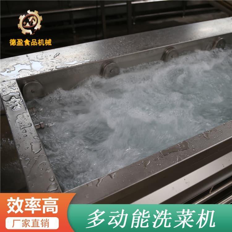 不锈钢洗菜机 东莞德盈火锅菜清洗线 火锅菜清洗线订做
