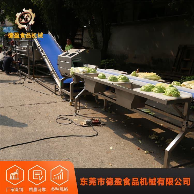 自动洗菜机 高效功能臭氧气泡洗菜机 功能臭氧气泡洗菜机工厂直销