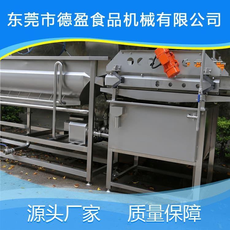 洗菜机 大型全自动气泡清洗机  全自动气泡清洗机 生产商