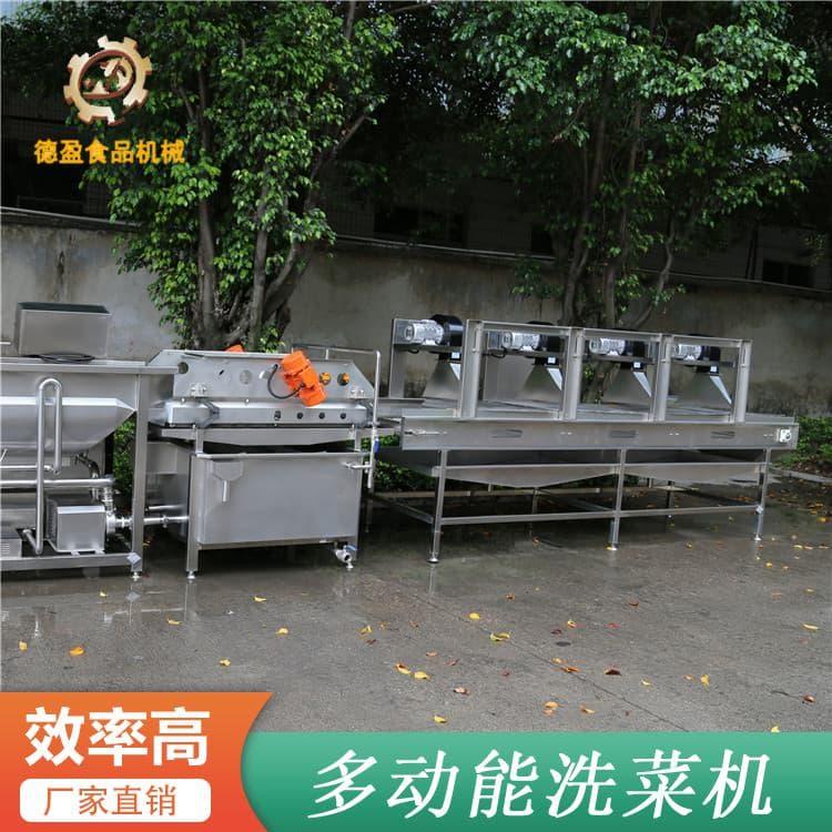 不锈钢洗菜机 大型海带大虾鱼喷淋气泡清洗机 海带大虾鱼喷淋气泡清洗机现货出售