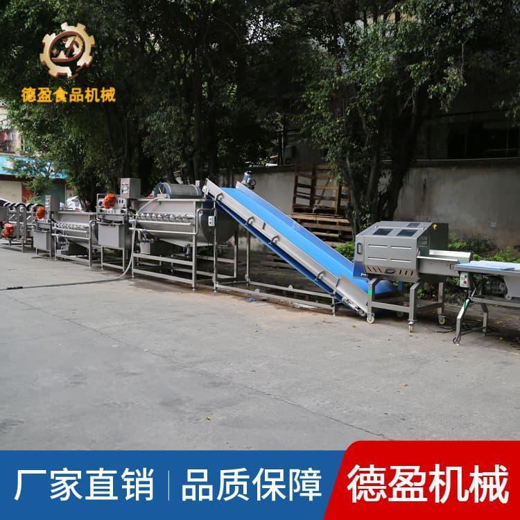 洗菜机 热门推荐水果气泡清洗洗菜设备 水果气泡清洗洗菜设备报价