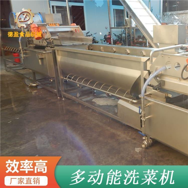 不锈钢洗菜机 高效大白菜气泡清洗机 大白菜气泡清洗机工厂直销 品质保障