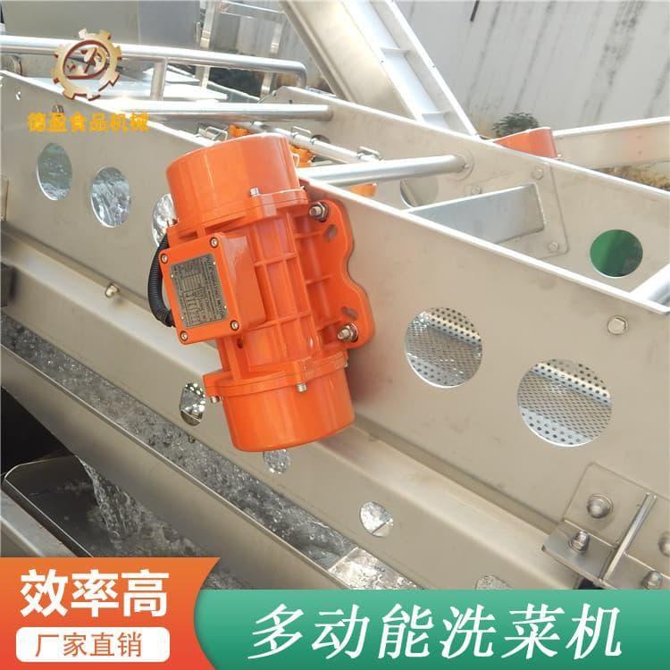 自动洗菜机 多用途商用果蔬洗泥机  商用果蔬洗泥机 厂家直销量大优惠
