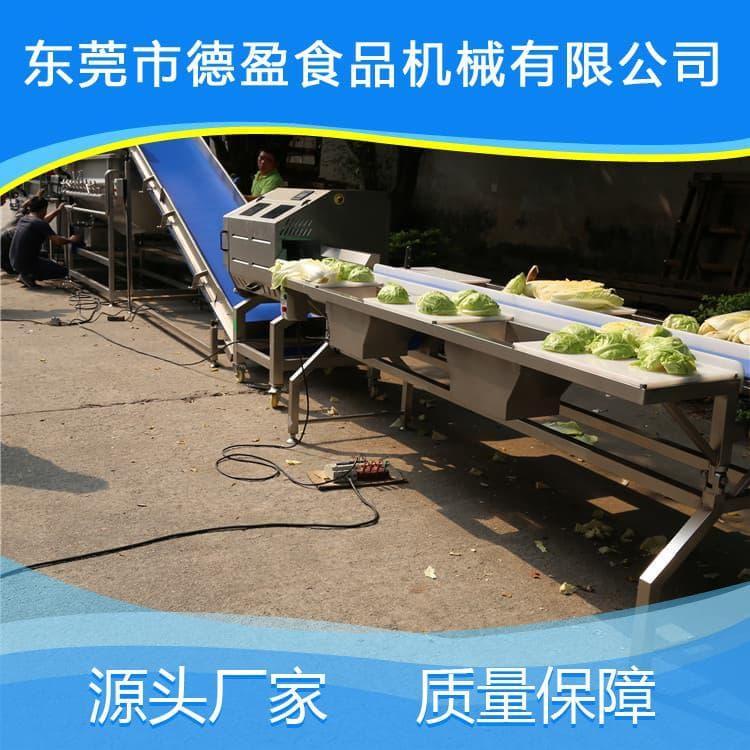 洗菜机 快速三槽洗菜机 三槽洗菜机定制加工