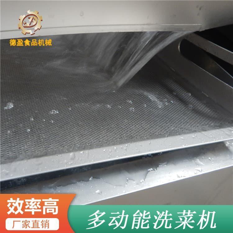 德盈食品机械 大功率海带大虾鱼喷淋气泡清洗机 海带大虾鱼喷淋气泡清洗机价格便宜