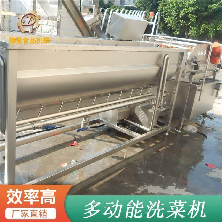 自动洗菜机 大型叶类气泡清洗机 叶类气泡清洗机品质保证