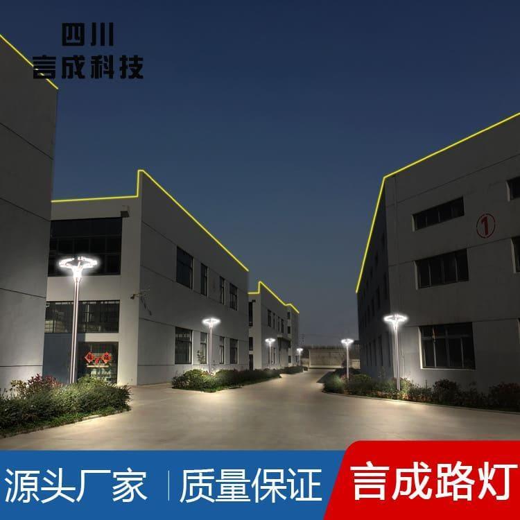 草坪灯 青海30w路灯 30w路灯整装待发