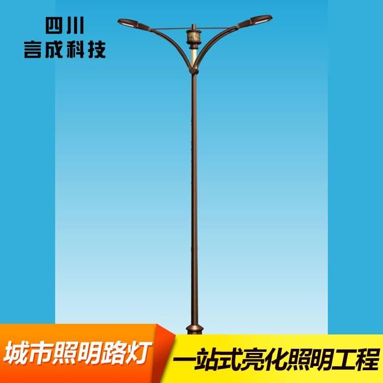 路灯 什邡道路建设城市照明路灯 道路建设城市照明路灯多种尺寸