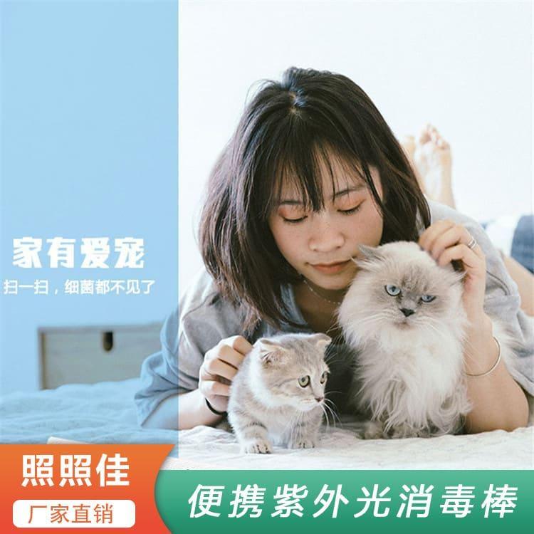 便携紫外光消毒棒 海南  紫外线USB消毒棒 紫外线USB消毒棒现货配送