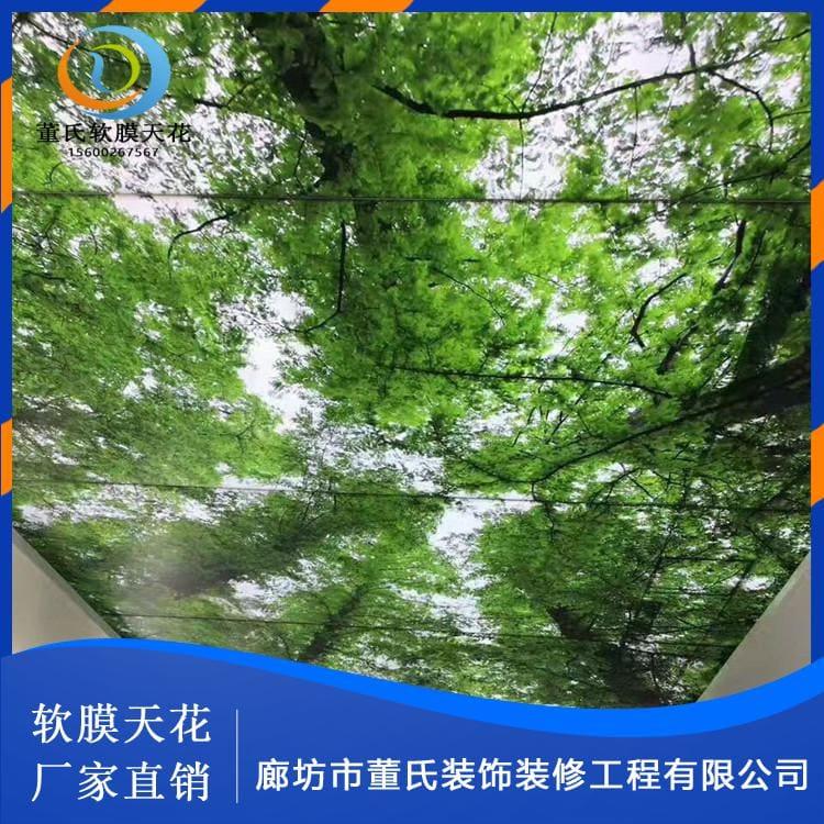 软膜天花 陕西造型软膜 造型软膜柔性拉膜