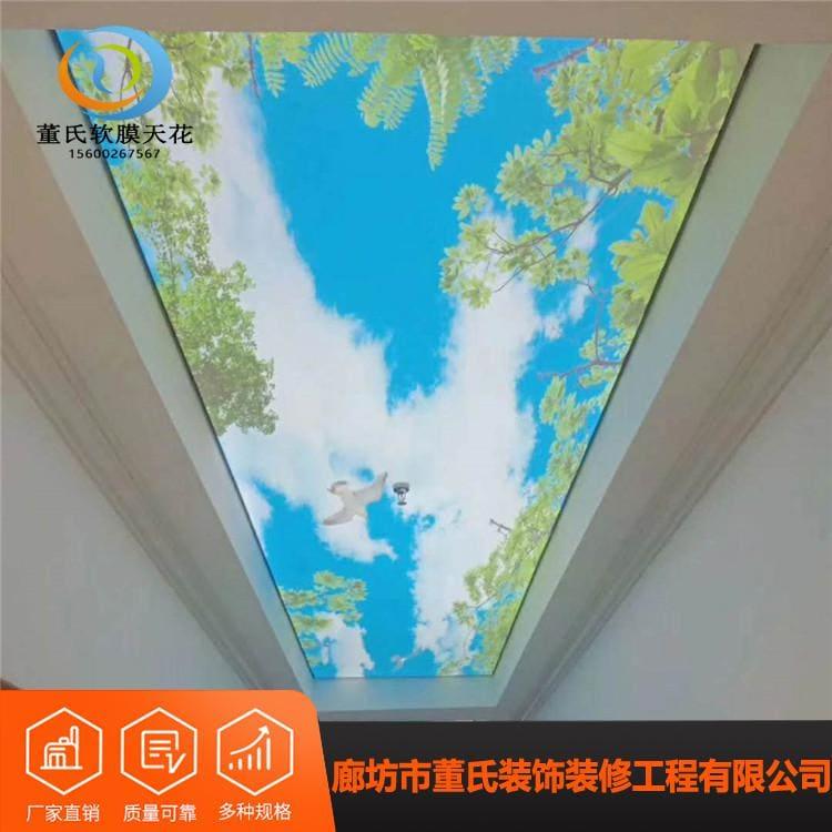 软膜天花吊顶 陕西铜川灯箱软膜 灯箱软膜生产厂家定制