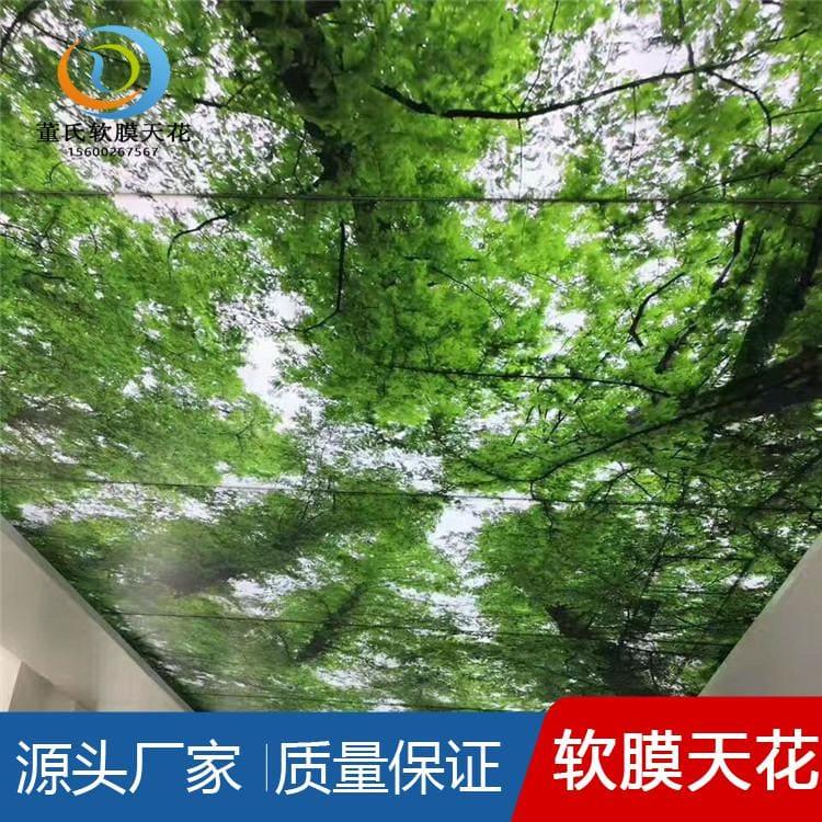 透光膜 防潮洗浴软膜天花吊顶 洗浴软膜天花吊顶工程质量认可度高