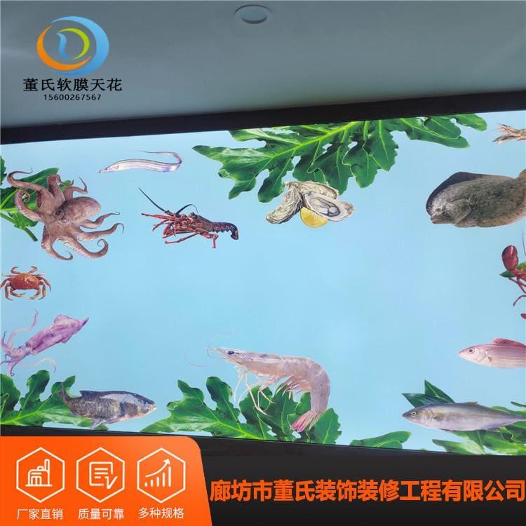 透光膜 防水防潮京瓷喷绘膜 京瓷喷绘膜生产安装一体