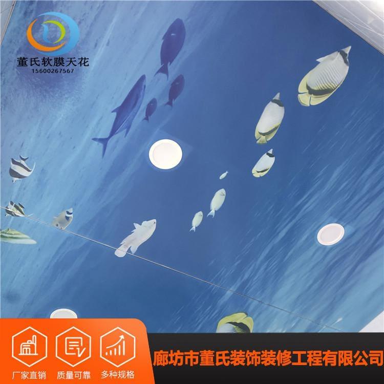 白色发光软膜 天津星空高清喷绘膜 星空高清喷绘膜抗渗漏
