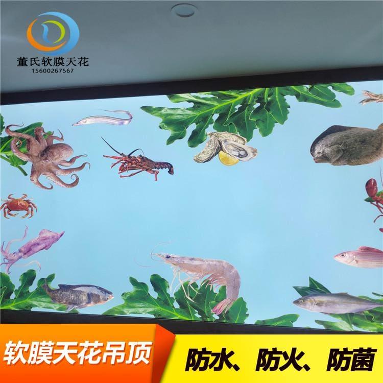 软膜天花吊顶 防水防潮拉蓬天花 拉蓬天花生产厂家定制