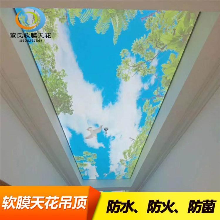 洗浴软膜天花吊顶 耐用安全颜色膜 颜色膜耐老化耐腐蚀