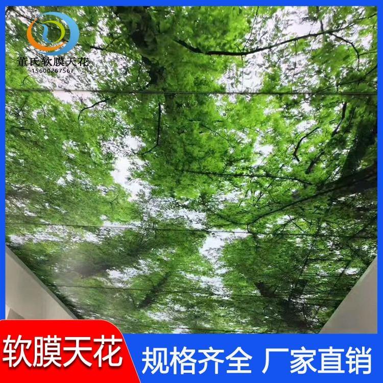 软膜天花 山西长治pvc集成吊顶装饰材料 pvc集成吊顶装饰材料生产商