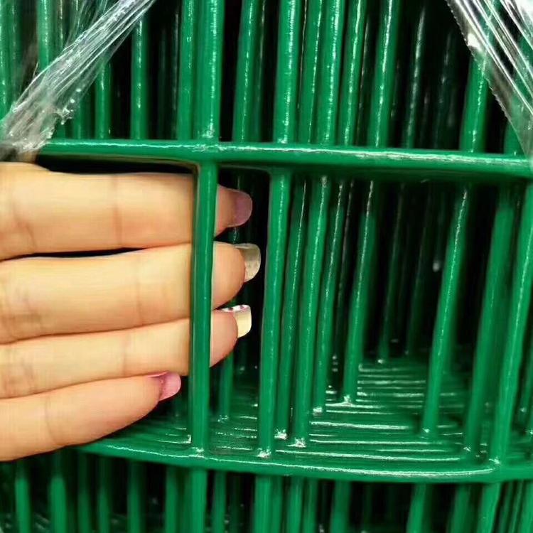 6*6网孔草绿色墨绿色浸塑低碳钢丝荷兰网厂家定制圈地养殖荷兰网