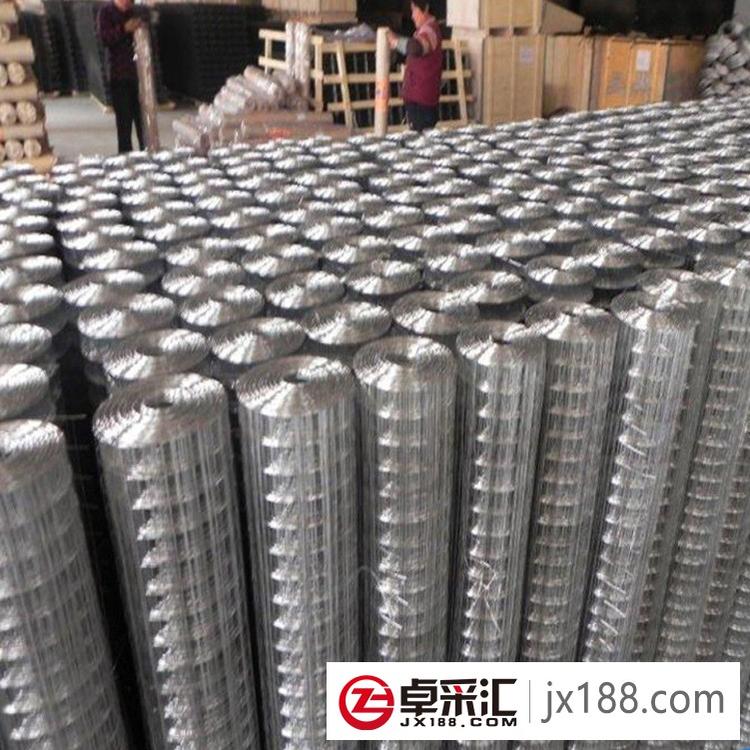厂家直销铁丝网 钢丝网 电焊网 镀锌电焊网 现货供应 浸塑电焊网