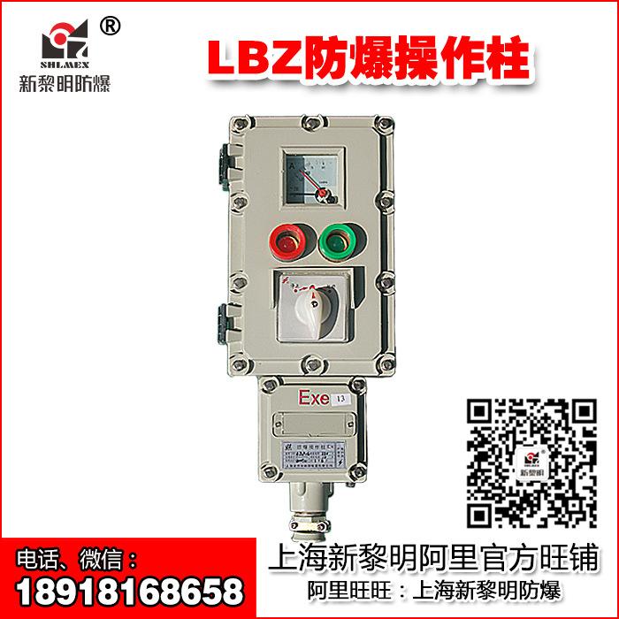 LBZ防爆防腐操作柱 壁挂式 LCZ8030-B1D2K1G新黎明正品