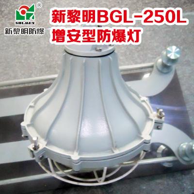 国标正品上海新黎明BGL-250L增安型防水防尘防腐防爆灯具
