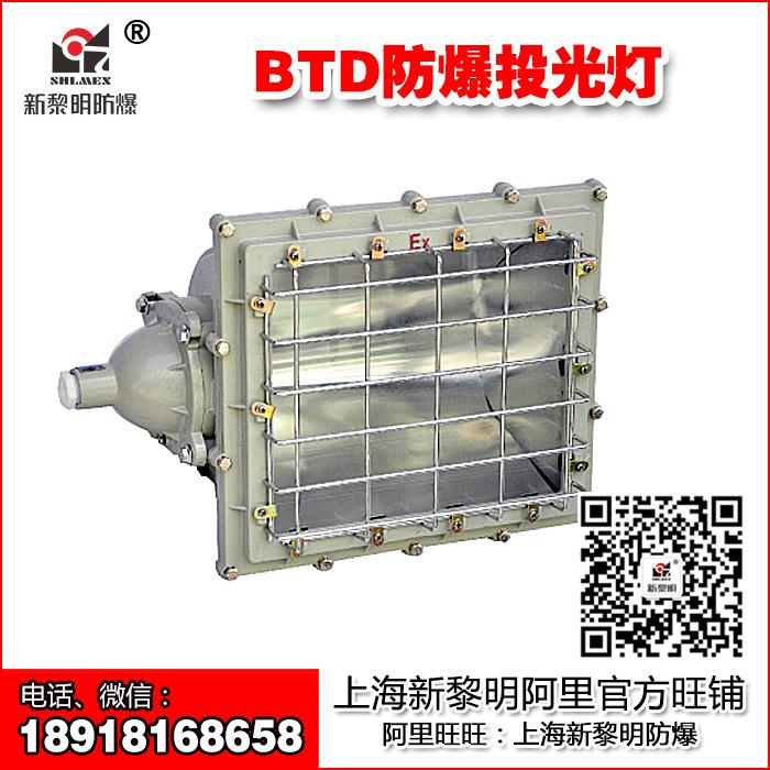新黎明防爆投光灯BTD-400防爆泛光灯防爆投光灯 分体式
