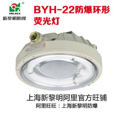 新黎明防爆环形吸顶灯 BYH-22/CCD96铸铝国标厂家批发量大从优