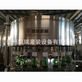 酒瓶生产厂家 玻璃瓶白酒灌装机械 白酒全自动分装机 潍坊灌装机