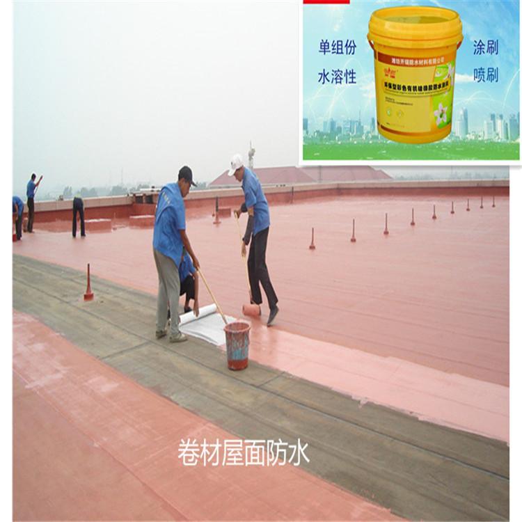 彩色硅橡胶防水涂料【水性单组份】卷材屋面维修防水防渗涂料