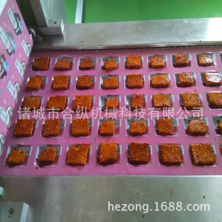DLZ-520拉伸膜真空包装机 豆干真空包装机 全自动拉伸膜真空机
