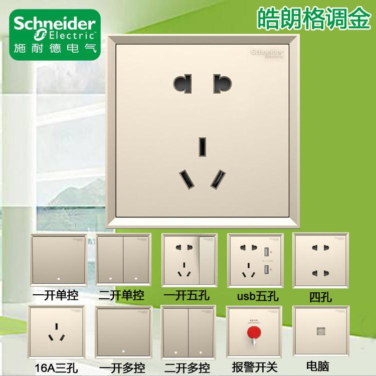 施耐德皓朗五孔C2E426_10US二三插五孔单双开格调金