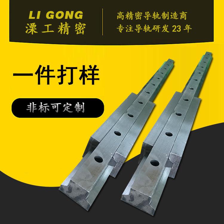 溧工数控机床轨道涂胶机器人导轨V型直线导轨精密油压机直线导轨