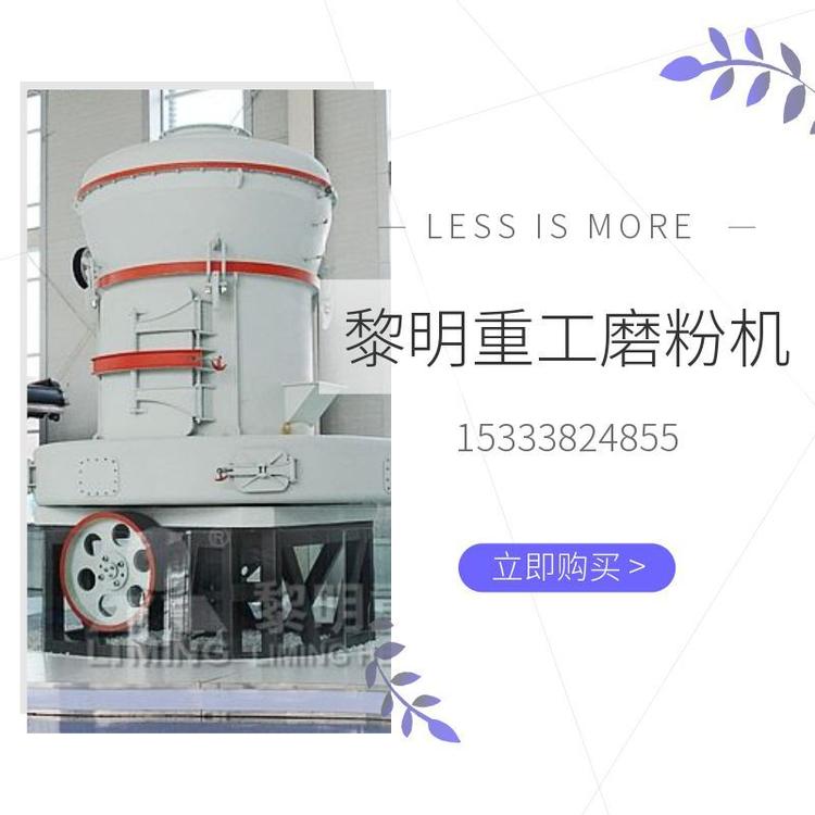 广东活性炭雷蒙磨粉机 高压微粉磨粉机 厂家直销