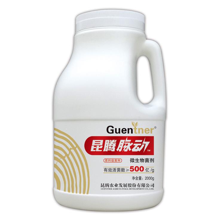 昆腾脉动 原料级复合微生物菌剂 生根抗病防虫 固氮解磷解钾 桶装冲施肥 厂家直销