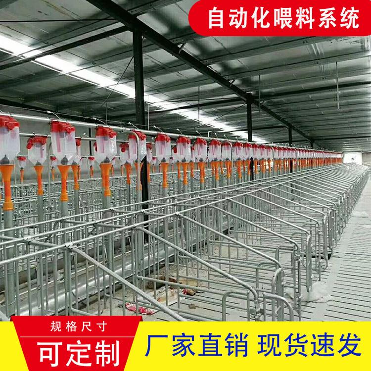 可定制新型饲料机械 猪场自动喂料系统畜牧养殖自动化饲喂设备