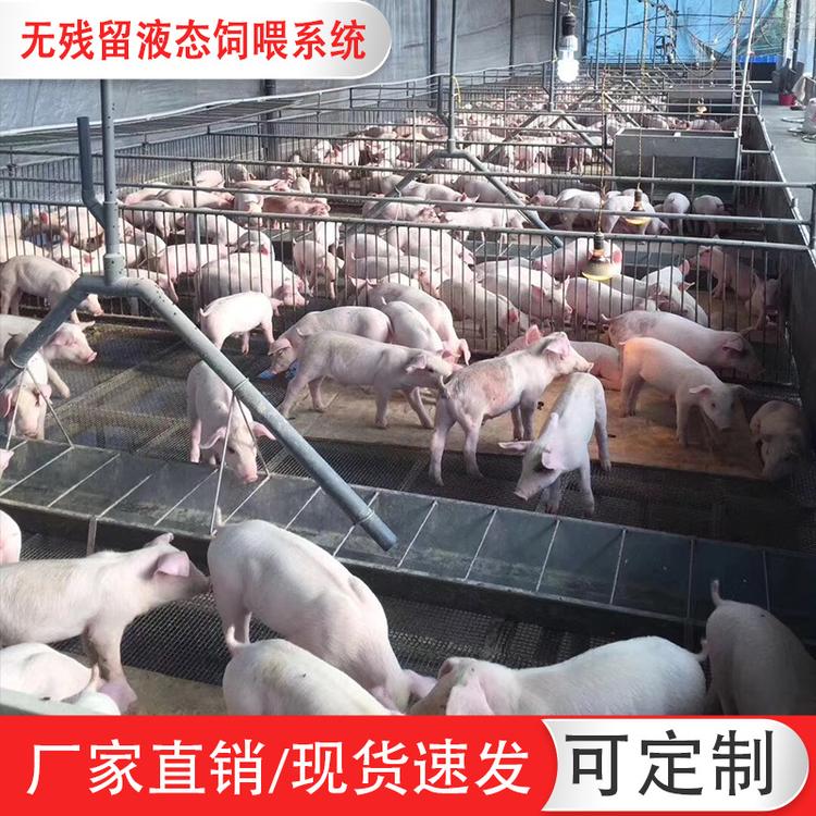 供应自动化养猪设备 猪场液态自动喂料系统猪舍料线供料设备
