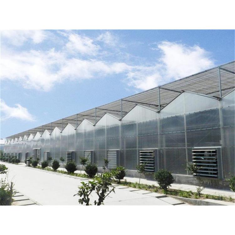 智能玻璃温室大棚 玻璃温室大棚建设 温室大棚建造