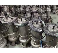 QW100米铸铁泵生产 液下泵生产