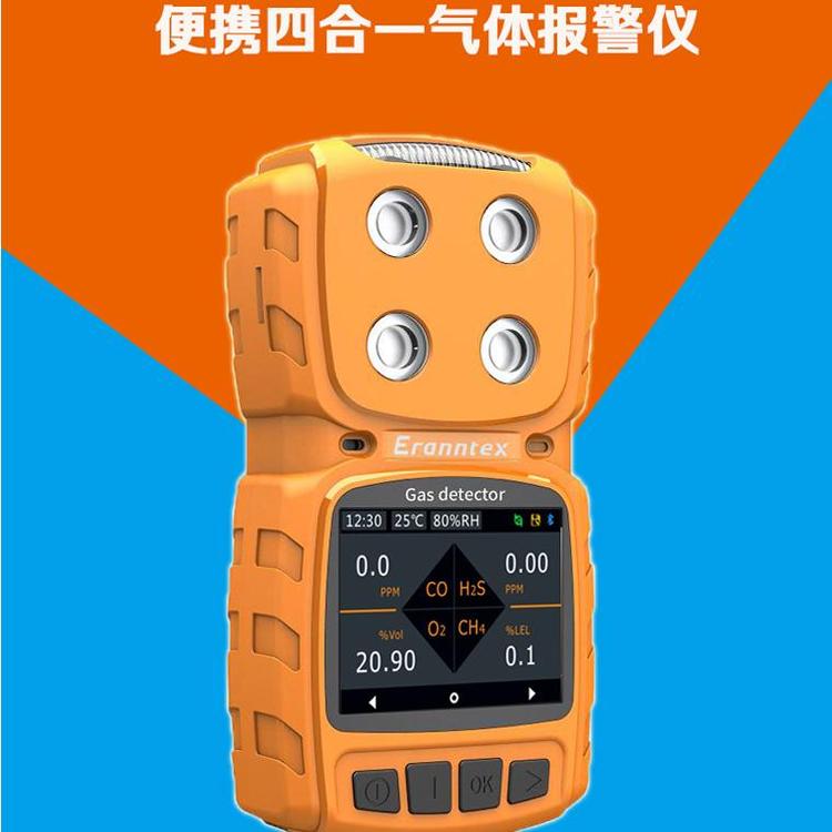 中号订制气体检测报警器化工专用 气体检测仪