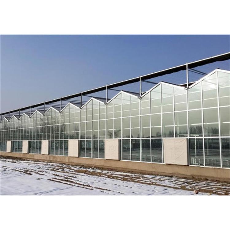 山东智能温室承建 智能温室大棚建造 温室大棚建造商